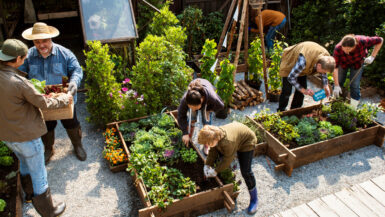 Agriculture urbaine Un week-end festif à Rennes pour ses 10 ans