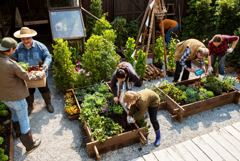 Agriculture urbaine Un week-end festif à Rennes pour ses 10 ans