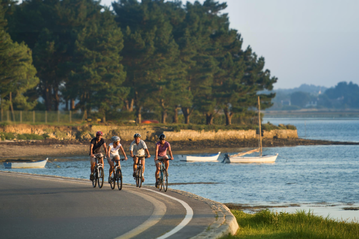 Golfe du Morbihan, Vélodyssée, voies vertes… le top des balades à vélo en Bretagne sud