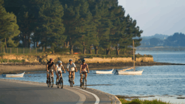 Golfe du Morbihan, Vélodyssée, voies vertes… le top des balades à vélo en Bretagne sud