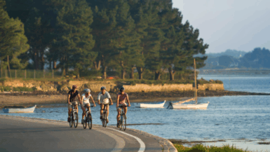 Golfe du Morbihan, Vélodyssée, voies vertes… le top des balades à vélo en Bretagne sud