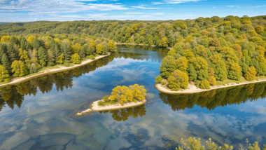 Les défis de la filière de bois en Pays de la Loire Comment préserver le bois pour un avenir durable