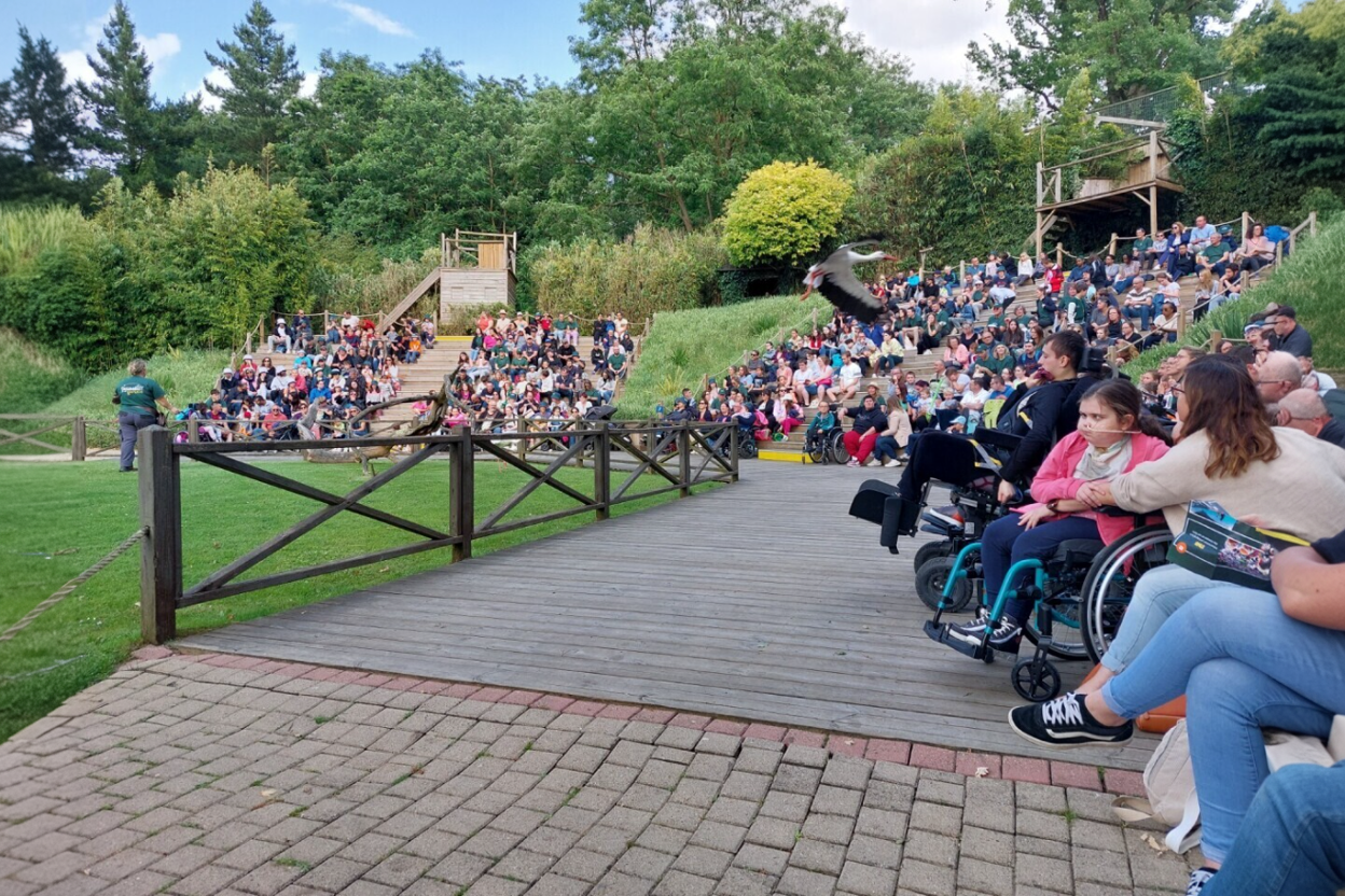 Une soirée féerique transforme le Zoo de La Flèche en univers enchanté pour des enfants handicapés